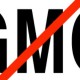 Blog: GMO: diskurs kriminogene moći