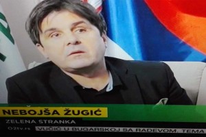 Zelena stranka - Goran Čabradi - Koga brine rast zelene stranke